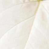 BLOOM MILK - Gentle Cleansing Milk